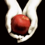 Twilight Drag Brunch